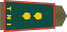 Indonesia Army Letnan kolonel insignia