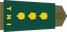 Indonesia Army Kolonel insignia