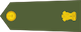 Insignia de Major