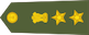 Insignia de Colonel