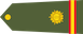 Insignia de Naib Subedar