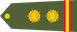 Insignia de Subedar