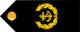 Insignia de Chief petty officer