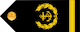 Insignia de Master chief petty officer 2nd class