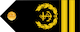 Insignia de Master chief petty officer 1st class