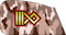 سرناوی Sernaoui pasdar insignia