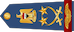 فريق أول‎‎ / Fariq 'awal insignia