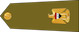 رائد / Ra'id insignia