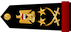 فريق أول‎‎ / Fariq 'awal insignia