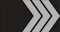 Insignia de Flokkstjóri 2.