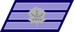 Israel Air Force סמל ראשון Samal rishon insignia