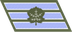 Israel Army סמל ראשון Samal rishon insignia