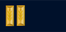 Israel Navy סגן Segen insignia