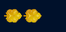 Israel Navy סגן-אלוף Sgan aluf insignia