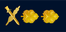 Israel Navy רב-אלוף Rav aluf insignia