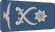 Jordan Air Force لواء Liwa insignia