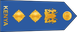 Kenya Air Force Colonel insignia
