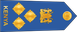 Kenya Air Force Brigadier insignia