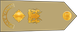 Kenya Army Lieutenant colonel insignia