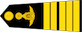 វរសេនីយ៍ឯក / Veareasenei ek insignia