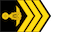 ពលបាលឯក / Polobal ek insignia