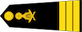 អនុសេនីយ៍ឯក / Anusenei ek insignia