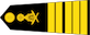 វរសេនីយ៍ឯក / Veareasenei ek insignia
