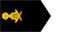 ពលទោ / Pol tou insignia