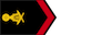 ពលឯក / Pol ek insignia