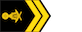 ពលបាលទោ / Polobal tou insignia
