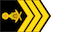 ពលបាលឯក / Polobal ek insignia