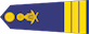អនុសេនីយ៍ឯក / Anusenei ek insignia