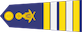 វរសេនីយ៍ទោ / Veareasenei tou insignia