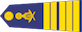 វរសេនីយ៍ឯក / Veareasenei ek insignia