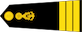 អនុនាវីឯក / Anuneavi ek insignia
