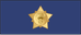 Kuwait Air Force وكيل Wakil insignia