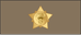Kuwait Army وكيل Wakil insignia