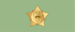 Kuwait National Guard وكيل Wakil insignia
