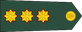Sri Lanka Army Captain insignia