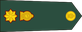 Sri Lanka Army Lieutenant colonel insignia