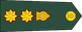 Sri Lanka Army Colonel insignia