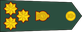 Sri Lanka Army Brigadier insignia