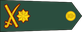 Sri Lanka Army Major general insignia