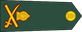 Sri Lanka Army Lieutenant general insignia