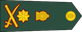 Sri Lanka Army General insignia