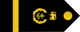 Sri Lanka Navy Fleet chief petty officer insignia