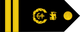 Sri Lanka Navy Master chief petty officer insignia