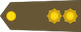 Insignia de Lieutenant en premier