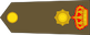 Insignia de Major