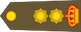 Insignia de Lieutenant-colonel